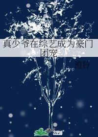 真少爷在综艺成为豪门团宠by雪满清