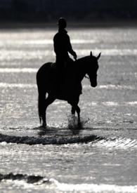 劫婚新妻超给力免费阅读