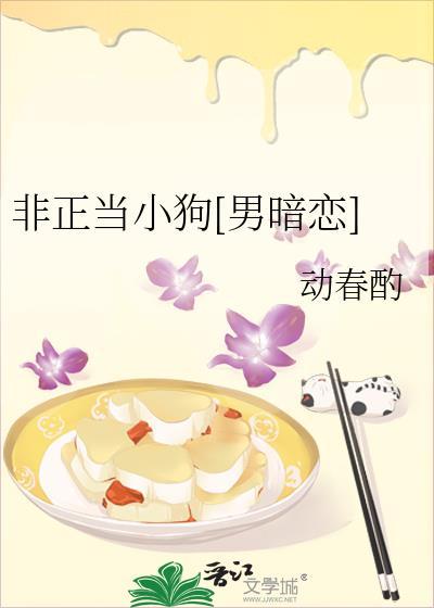 非正当职业是指