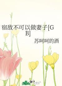 宿敌不对我负责