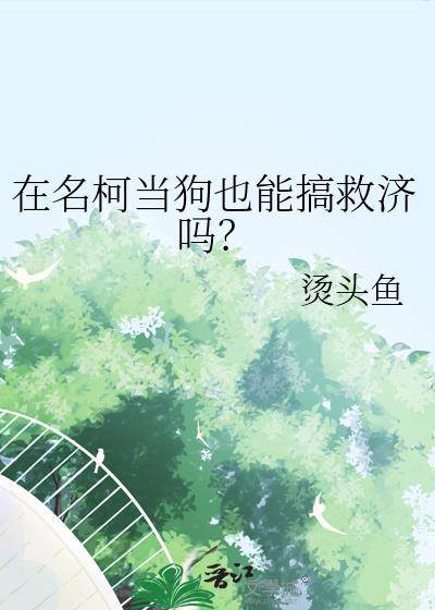 名柯cp