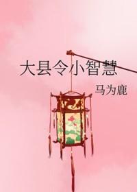 大县令小仵作2