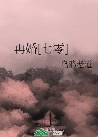 再婚七零乌鸦老道TXT