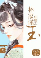 红楼之林家有瑾玉