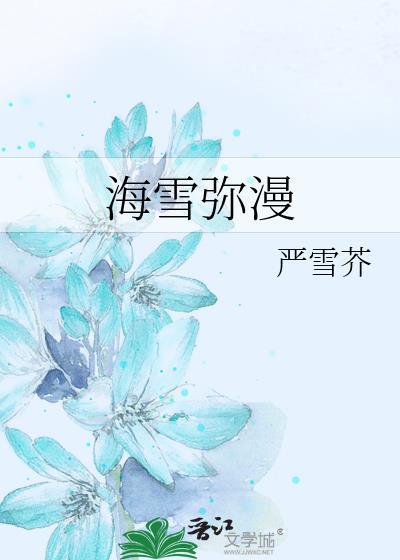 海雪弥漫讲的什么