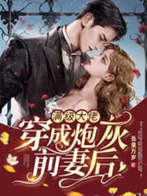 满级大佬穿成炮灰之后