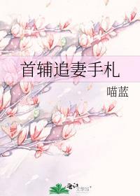 首辅的追妻计划
