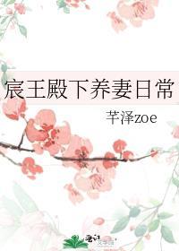 男主是宸王的