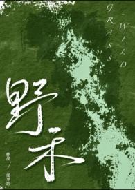 伪兄妹r