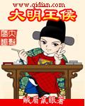 大明王侯电视剧