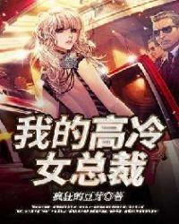 我的高冷总裁老婆百度百科