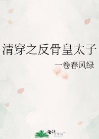 大清皇子的反穿越