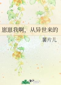 貌美向导深陷修罗场免费阅读