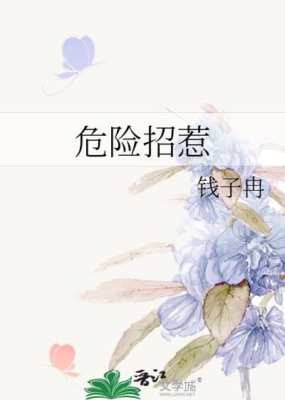 危险招惹txt