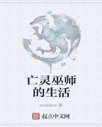 亡灵巫师结界升到老虎就可以吗
