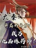 大秦神级炼丹师