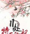 11处特工皇妃楚乔传评论
