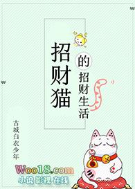 招财猫的招财生活