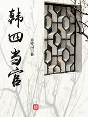 韩四当官番外