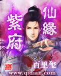 紫府仙缘无弹窗