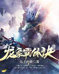 龙象霸体诀境界划分