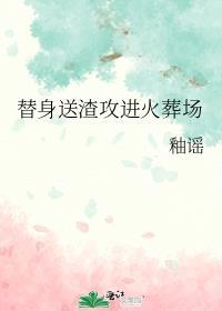 替身攻追攻火葬场