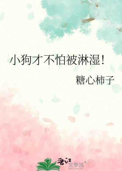 狗怕雨水淋湿吗