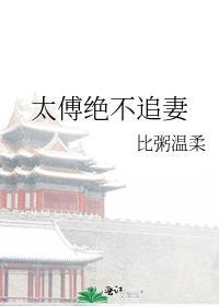 太傅太撩人不吃素