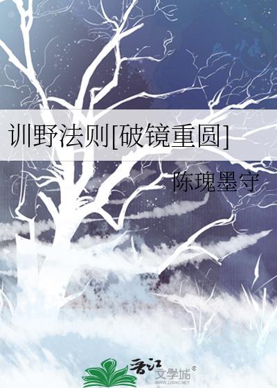 训野法则破镜重圆TXT
