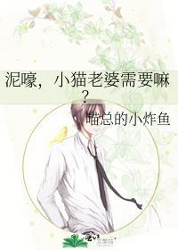 小猫找老婆