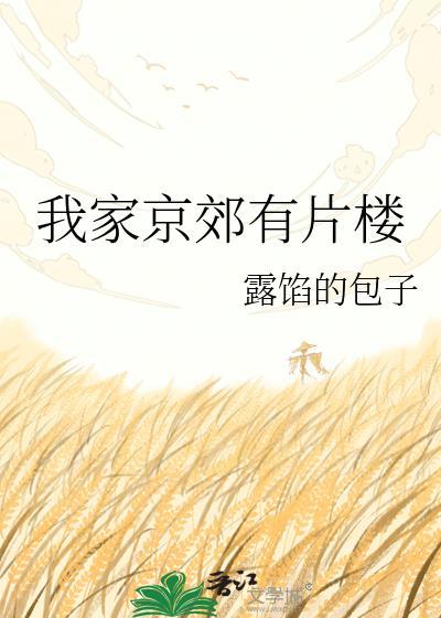 我家京郊有片楼 露馅包子