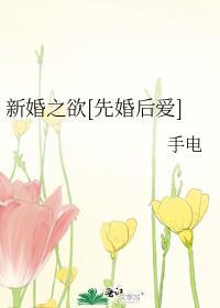 新婚之欲先婚后爱免费阅读