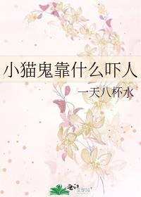 小猫咪什么鬼