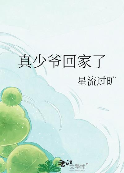 真少爷回家了笔趣阁