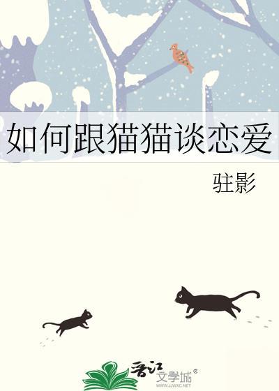 怎样和猫咪搞好关系