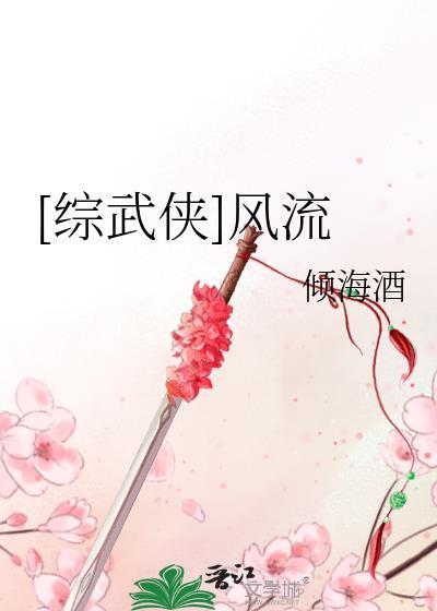 综武侠风流TXT全本免费