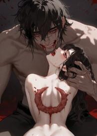 月牙seo