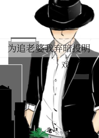 为追老婆我弃暗投明TXT