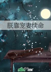 朕靠宠妻续命 新雪佐酒