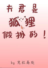 狐狸夫君免费完结
