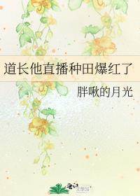 直播道长别装了