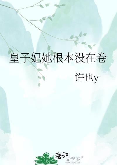 皇子妃的