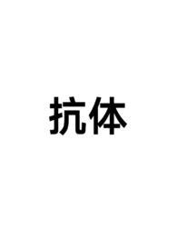 抗体高是什么意思