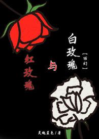 红玫瑰与白玫瑰电视剧