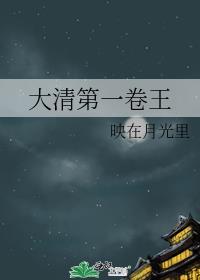 大清第一卷王番外