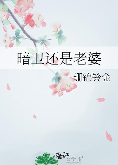 暗卫还是老婆by珊锦铃金