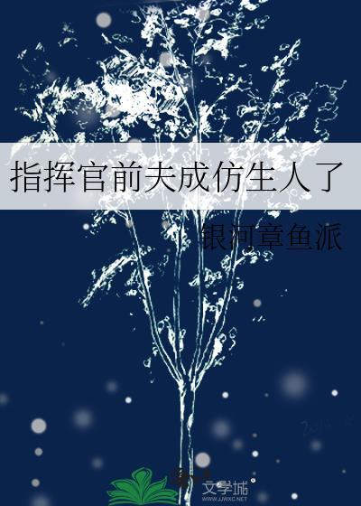 指挥官出轨