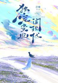 独宠贵公主