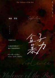 盒子属于哪个公司