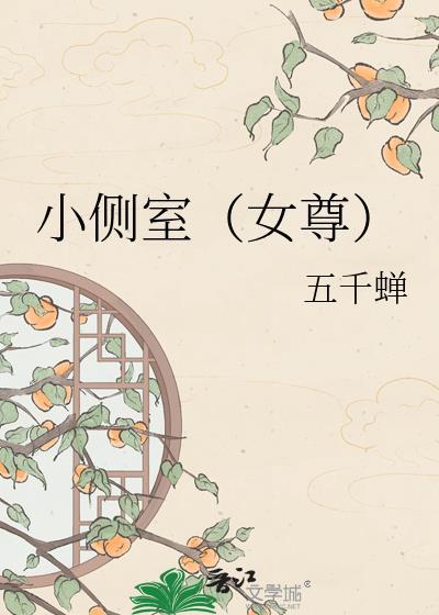 侧室小妾的